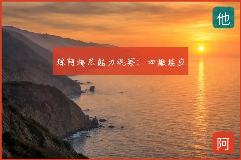 琼阿梅尼能力观察：回撤接应